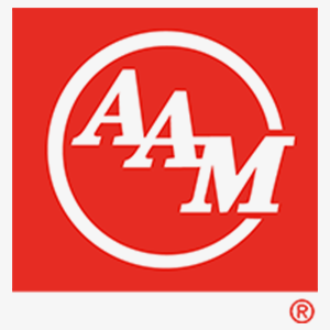 AMM - Eutktoid
