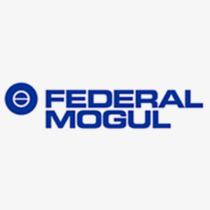 Federal Mogul - Eutktoid